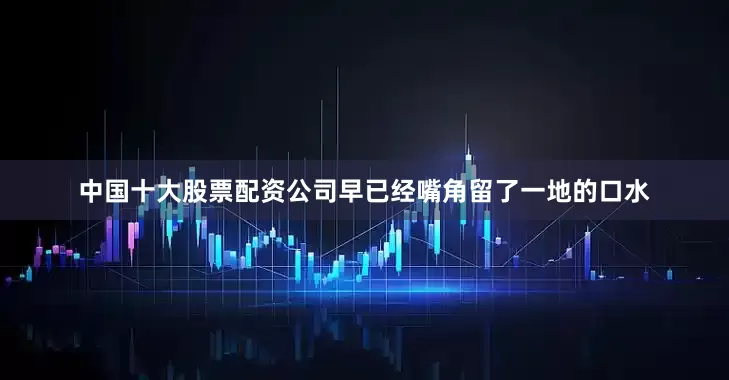 中国十大股票配资公司早已经嘴角留了一地的口水