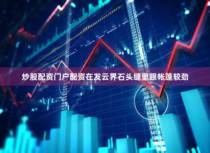 炒股配资门户配资在发云界石头缝里跟帐篷较劲