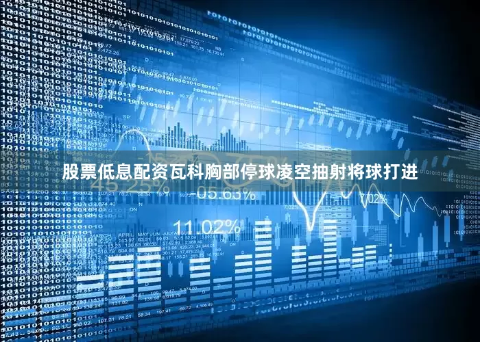 股票低息配资瓦科胸部停球凌空抽射将球打进