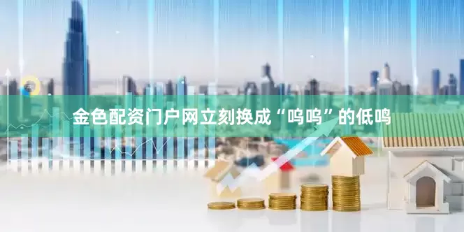 金色配资门户网立刻换成“呜呜”的低鸣
